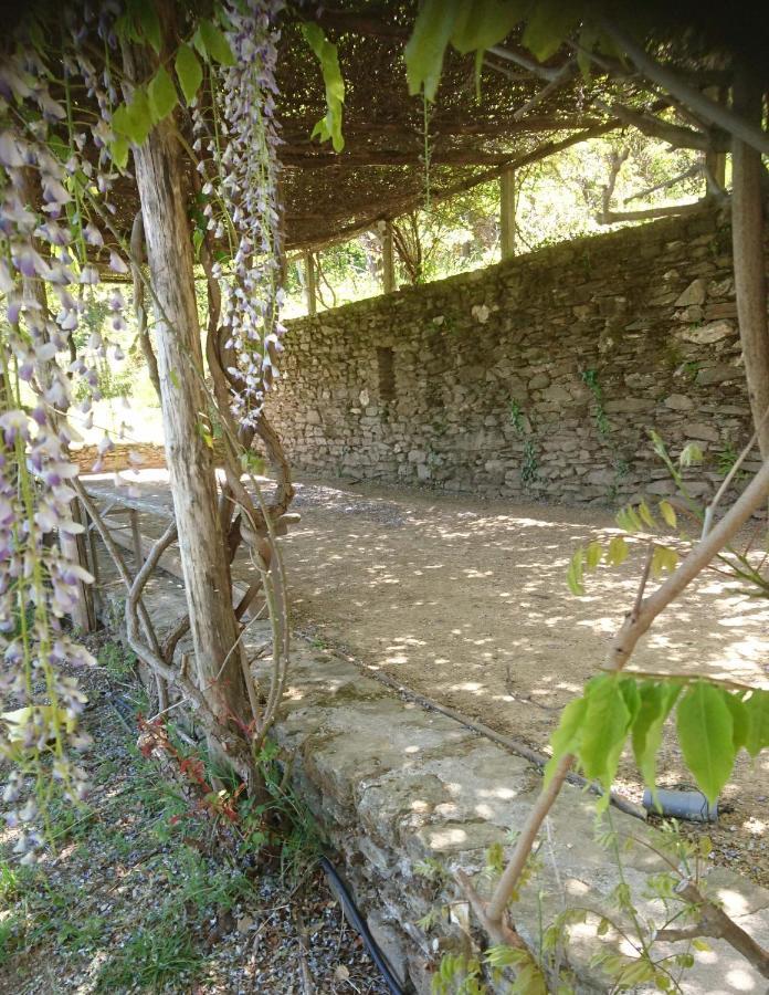 Le Mercou En Cevennes Saint-Martin-de-Boubaux Luaran gambar